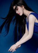 下一篇：一街道党