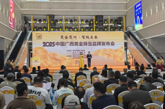 <strong>为广西黄金珠宝区</strong>